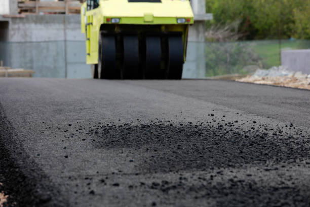 Best Driveway Paving Contractor  in Pine Ridge, FL